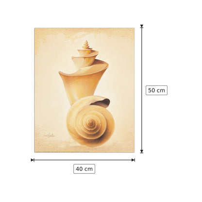 Thatcheria Shell - WELLES - cm 40x50 - Pannello in MDF