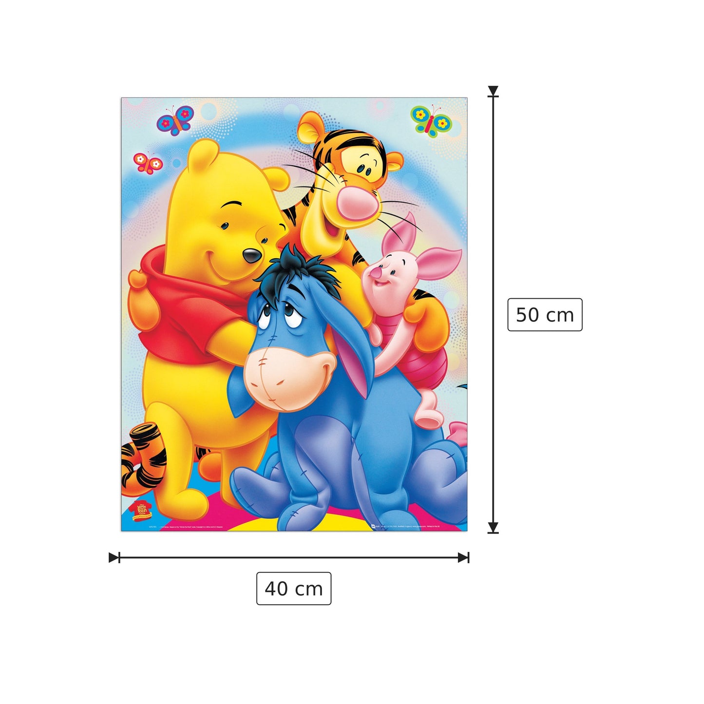 Winnie The Pooh - DISNEY - cm 40x50 - Pannello in MDF