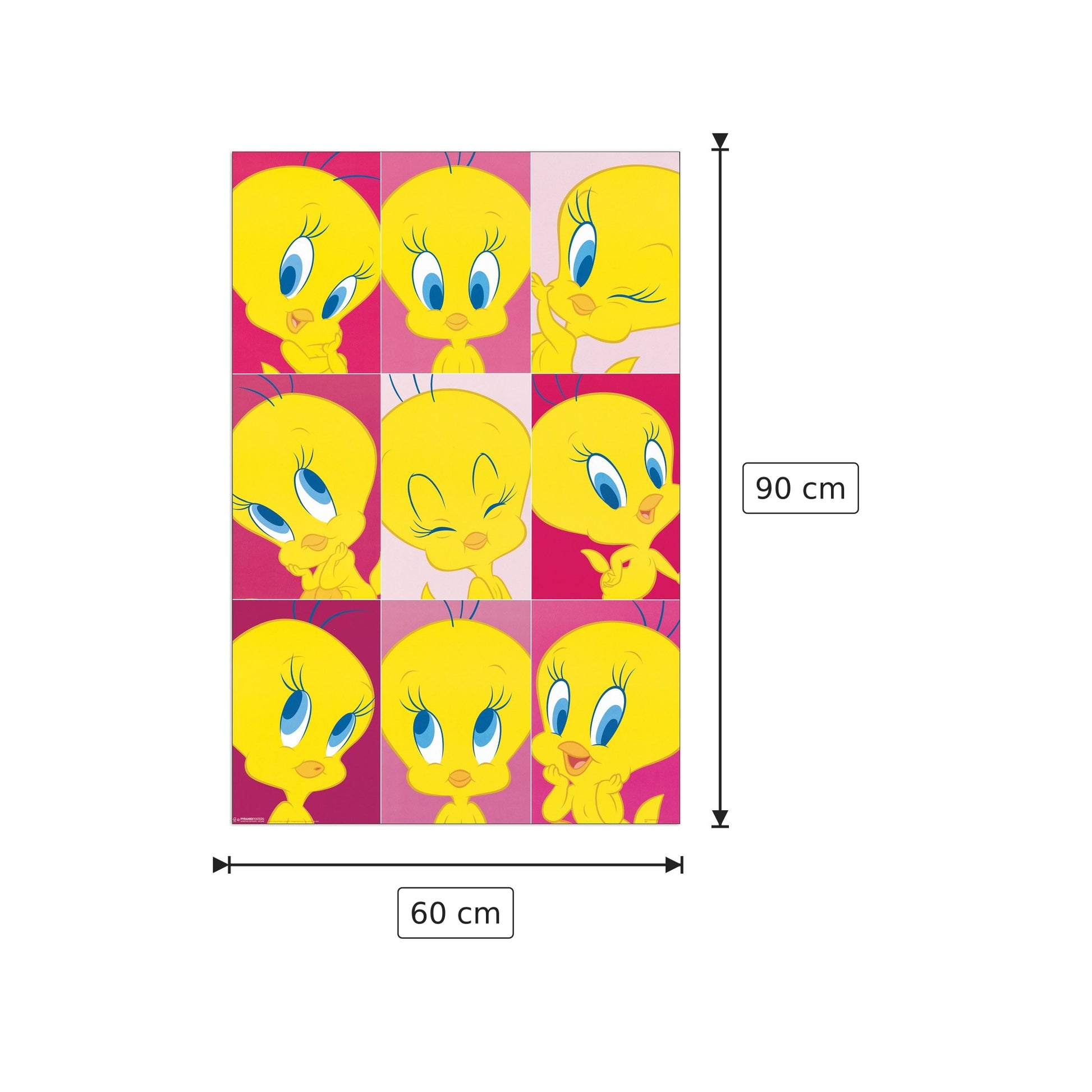 Tweety - LOONEY TUNES - cm 60x90 - Pannello in MDF