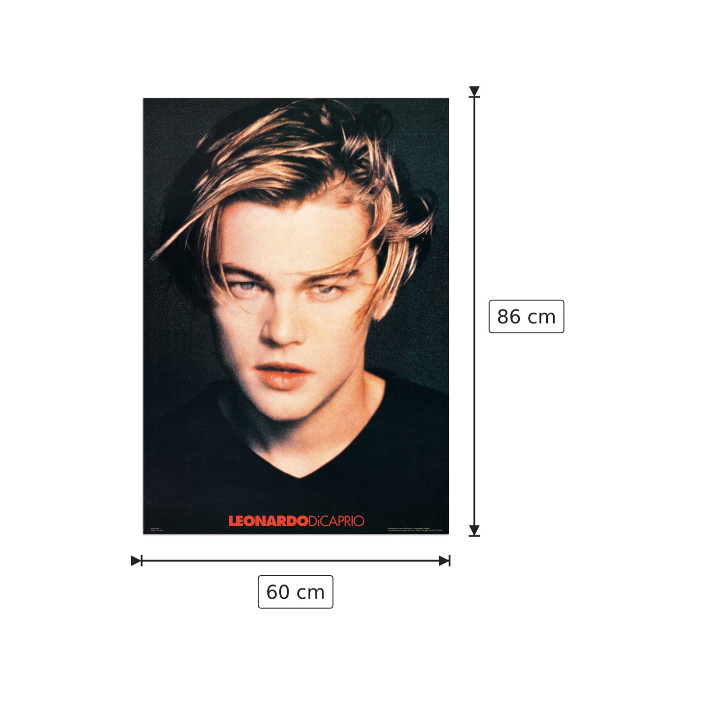 Leonardo Di Caprio - NULL - cm 60x86 - Pannello in MDF
