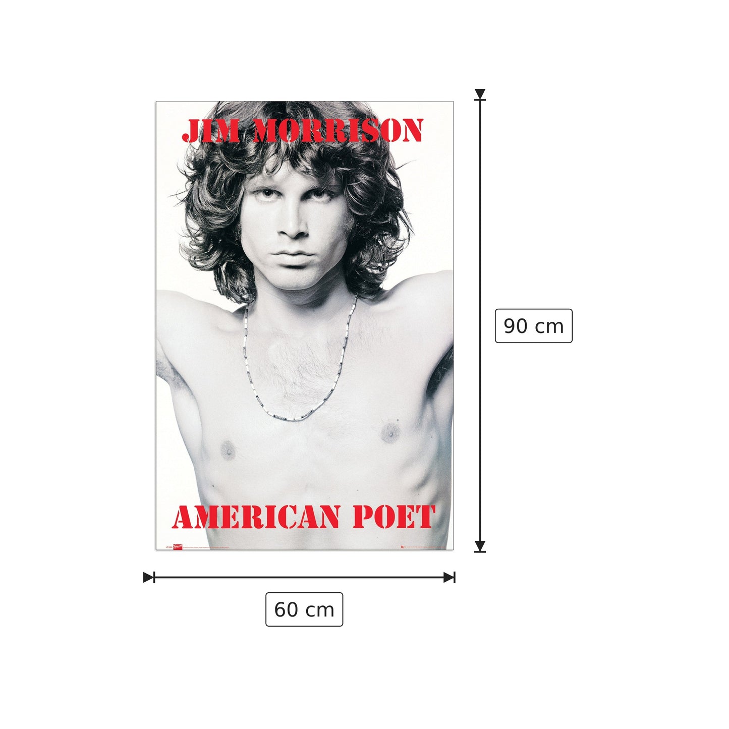 Jim Morrison, American Poet - NULL - cm 60x90 - Pannello in MDF