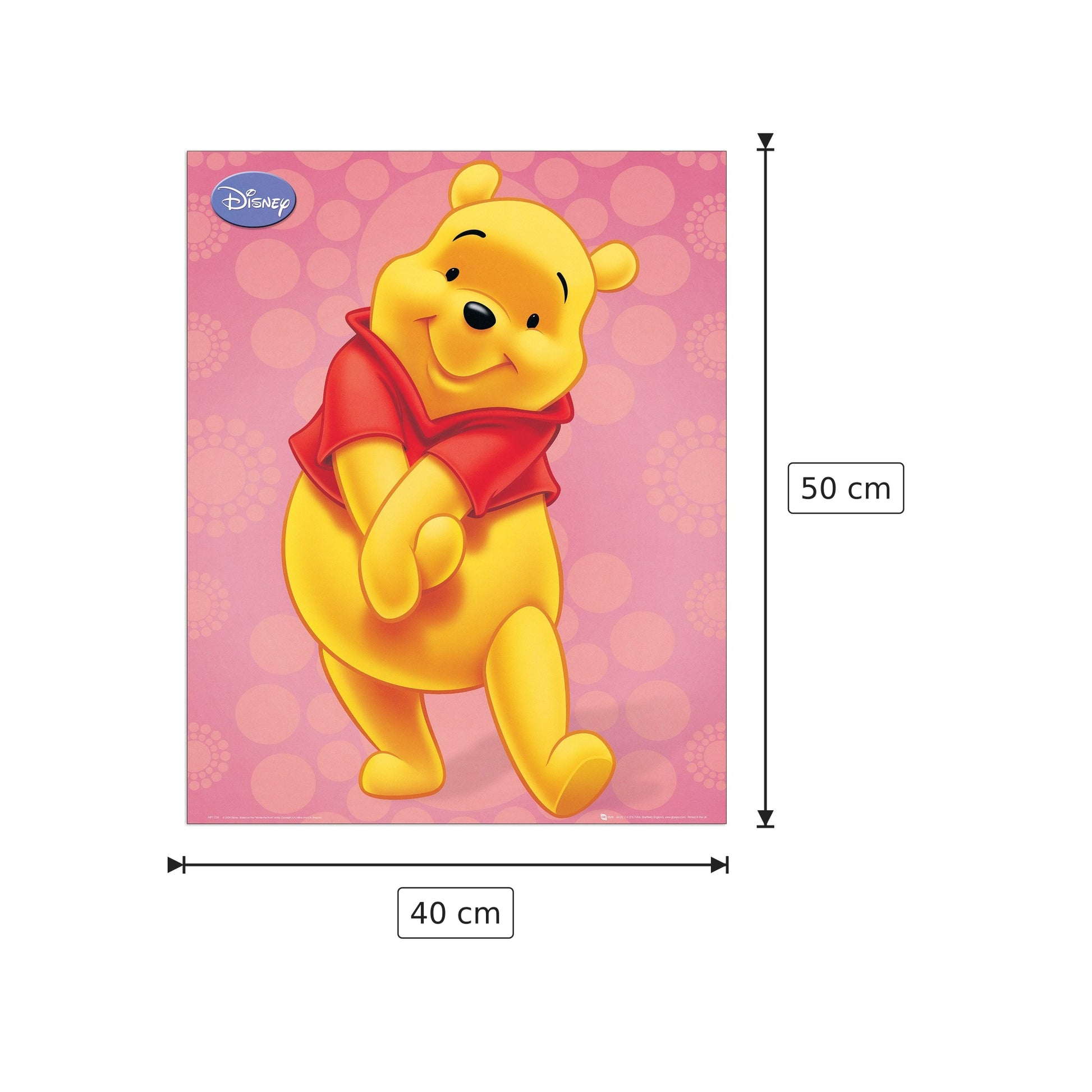 Winnie Pooh - DISNEY - cm 40x50 - Pannello in MDF