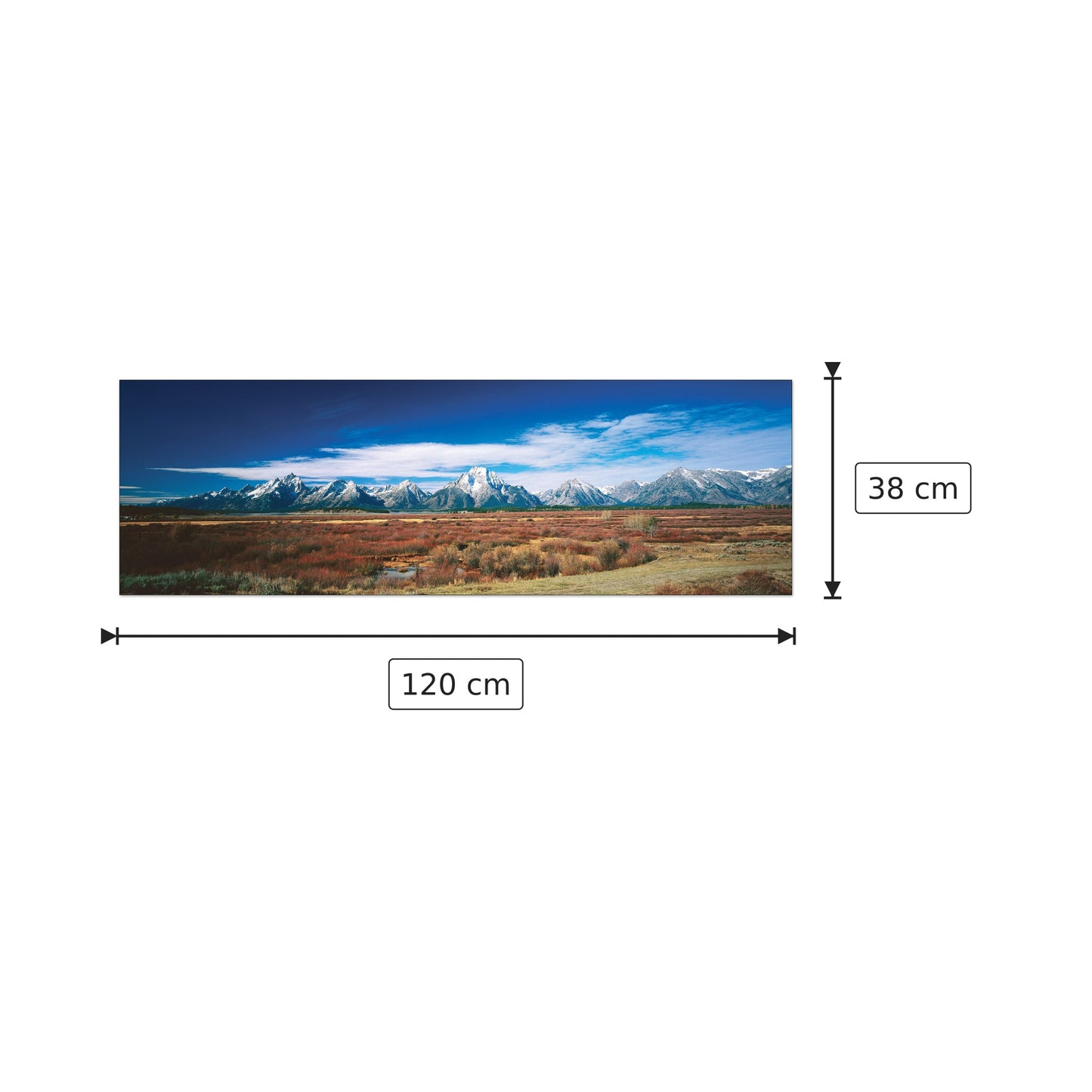 U.S.A. Panoramic - WORLD PANORAMIC - cm 120x38 - Pannello in MDF