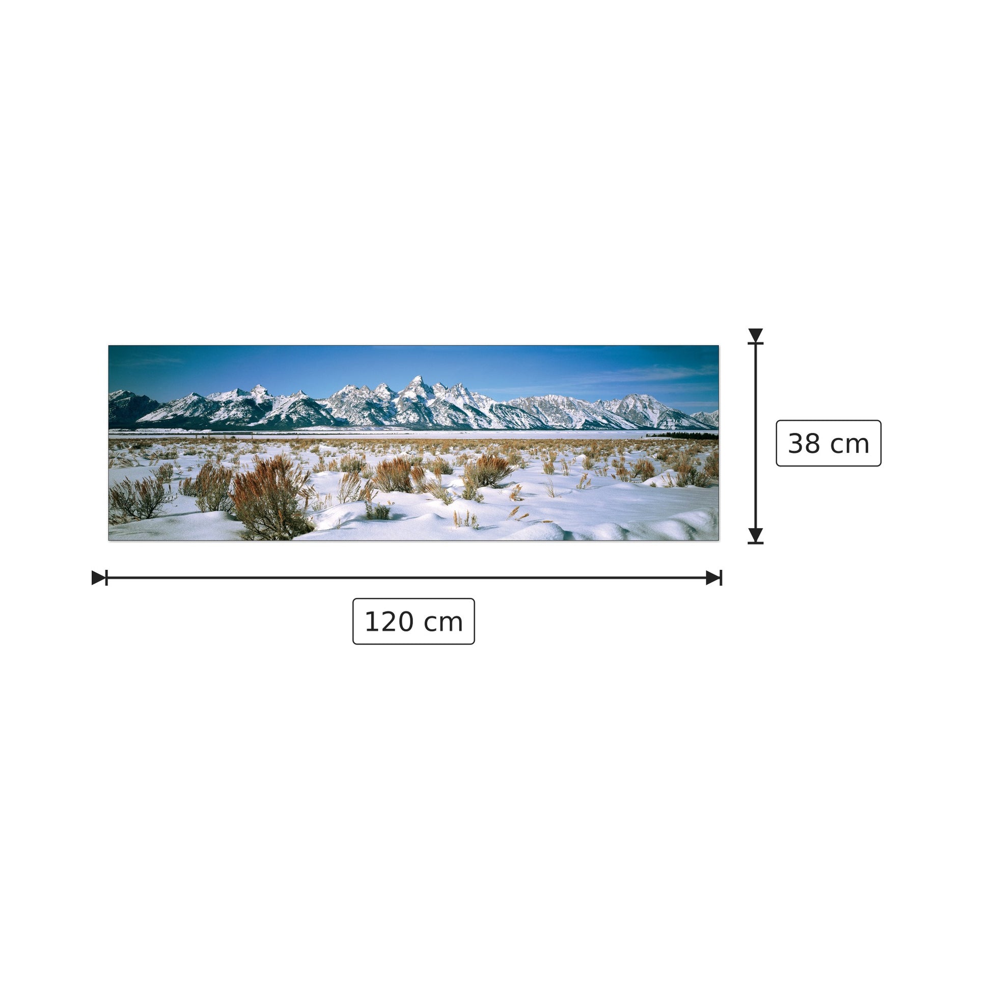 U.S.A. Panoramic - WORLD PANORAMIC - cm 120x38 - Pannello in MDF