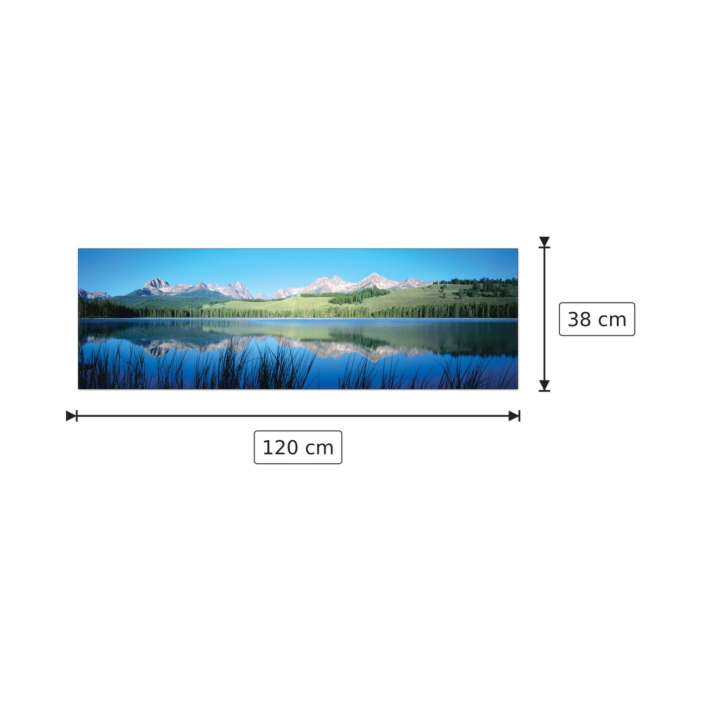 U.S.A. Panoramic - WORLD PANORAMIC - cm 120x38 - Pannello in MDF