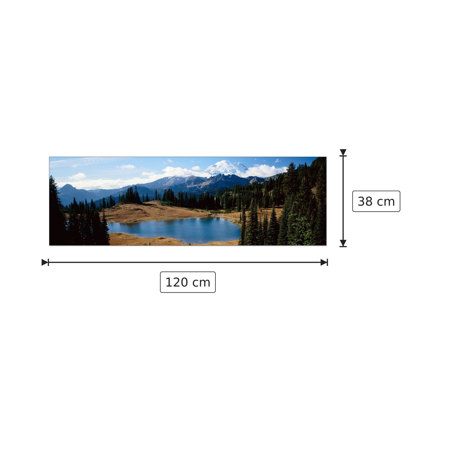 U.S.A. Panoramic - WORLD PANORAMIC - cm 120x38 - Pannello in MDF