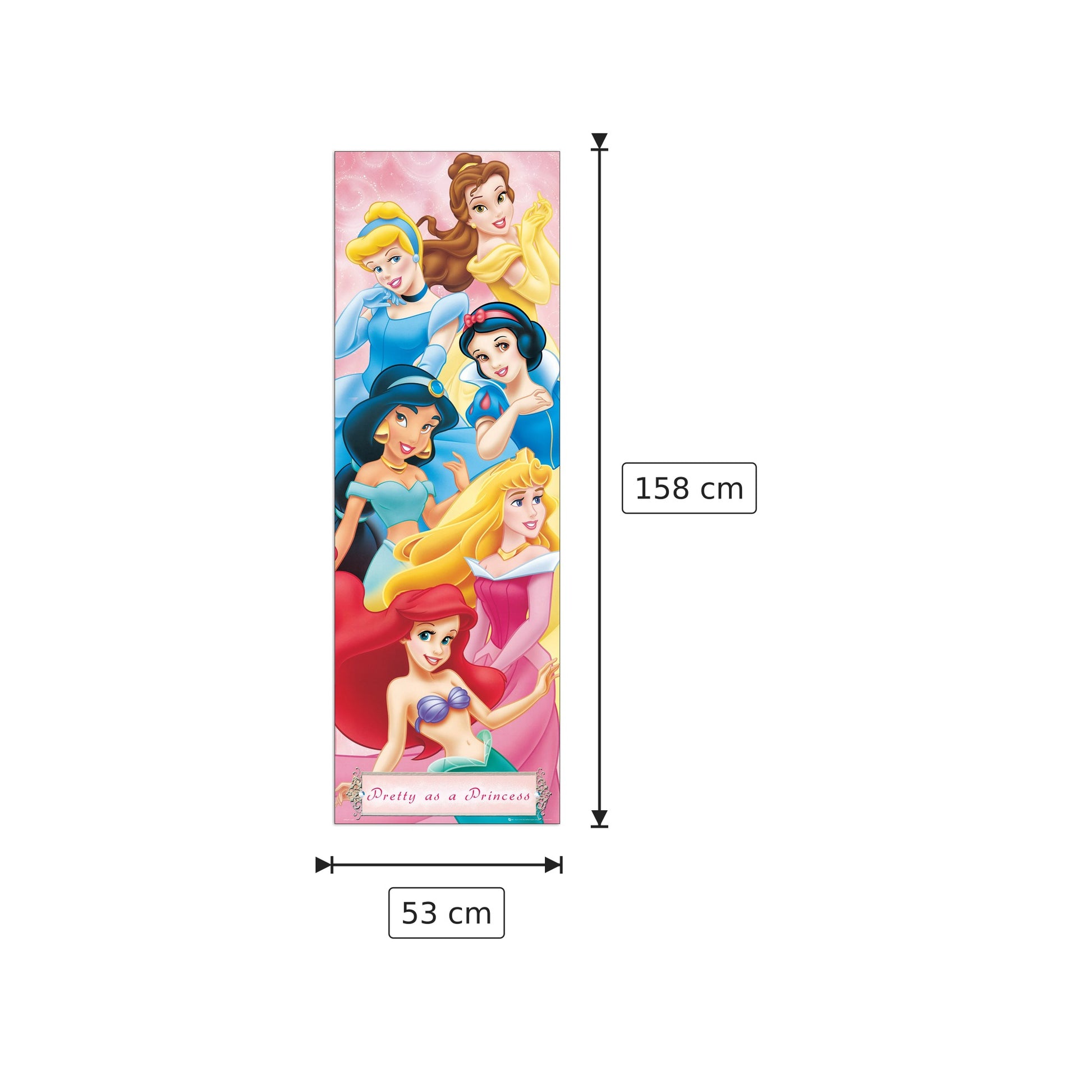 Principesse - DISNEY - cm 53x158 - Pannello in MDF