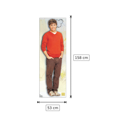 Zac Efron - DISNEY - cm 53x158 - Pannello in MDF