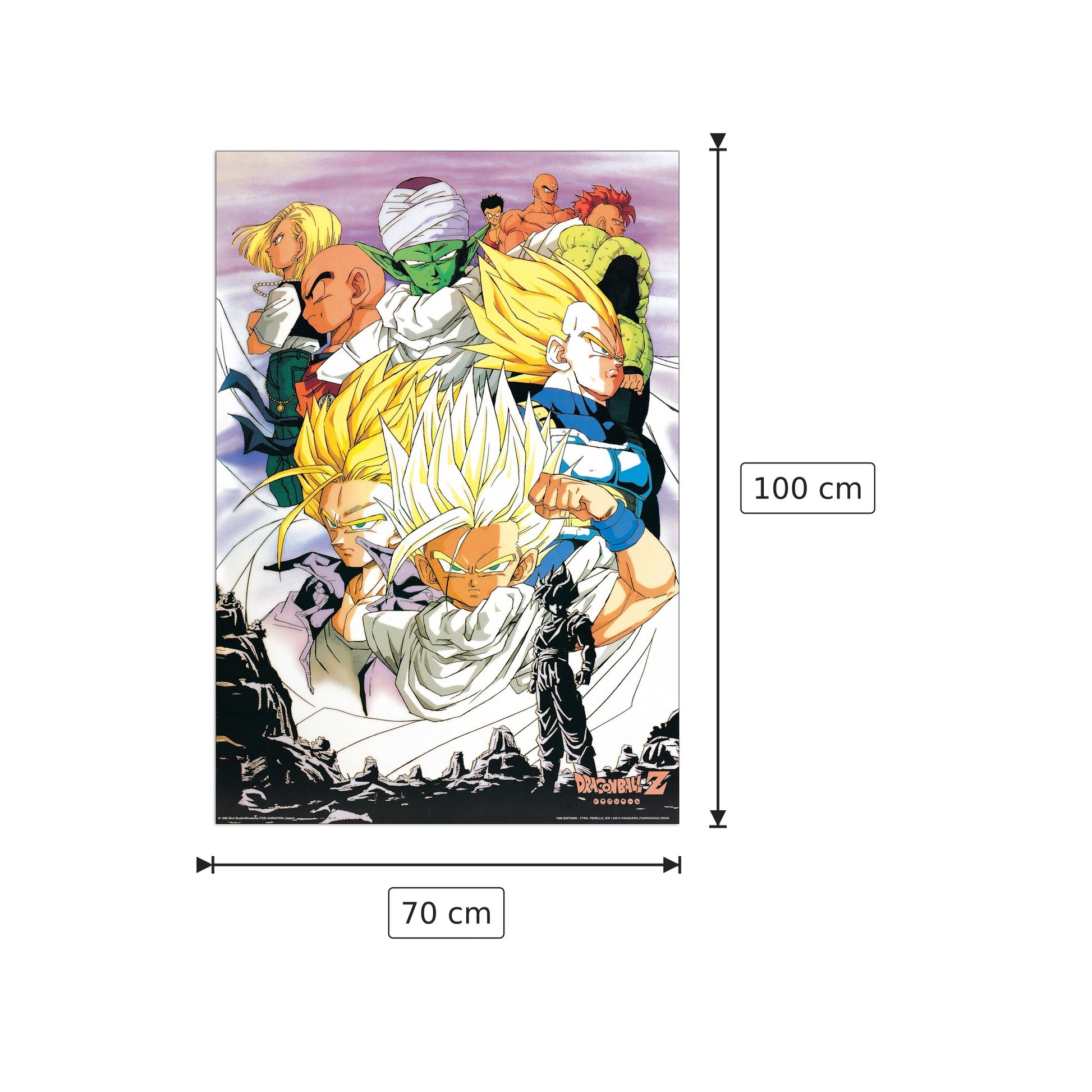 Dragonball Z - TOEI ANIMATION - cm 70x100 - Pannello in MDF