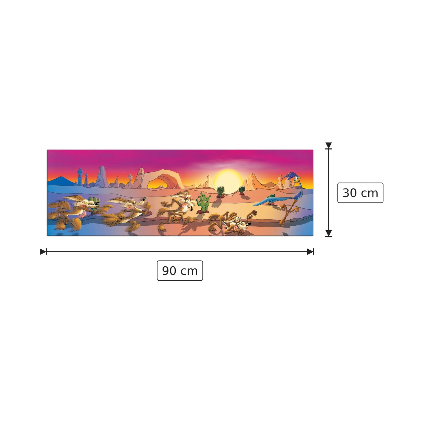 Wile Road Runner Desert - LOONEY TUNES - cm 90x30 - Pannello in MDF