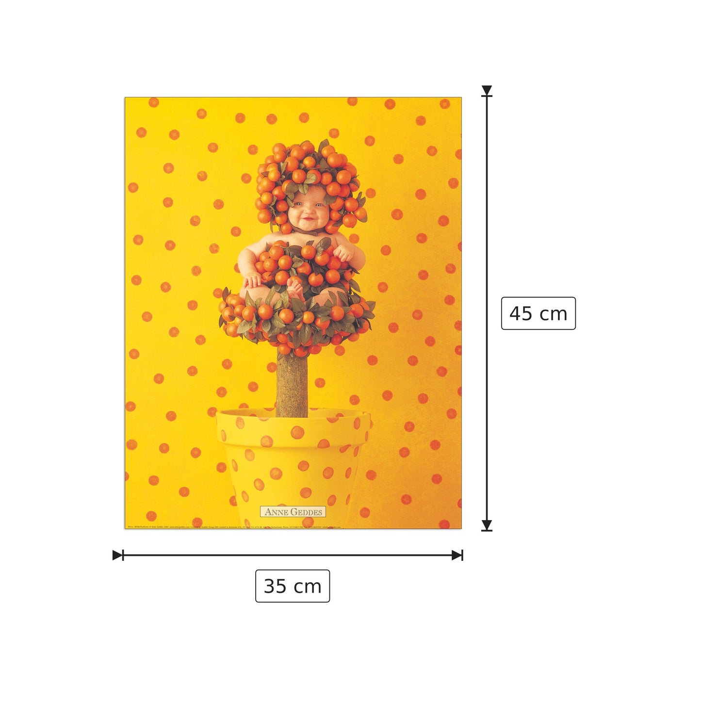 Untitled - GEDDES - cm 35x45 - Pannello in MDF