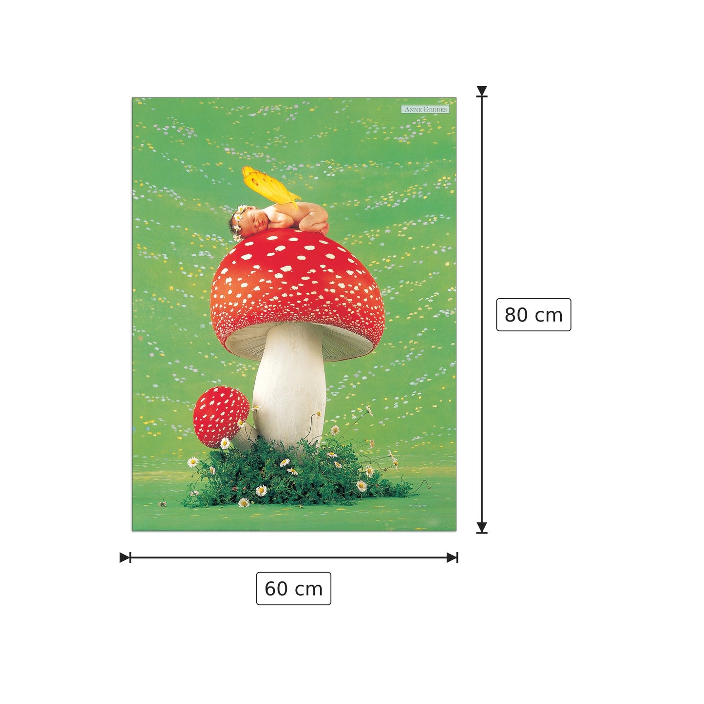 Untitled - GEDDES - cm 60x80 - Pannello in MDF