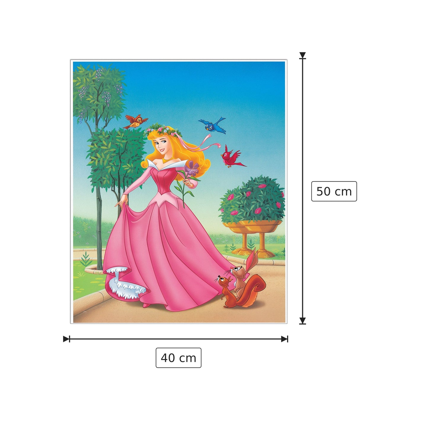 Sleeping Beauty - DISNEY - cm 40x50 - Pannello in MDF