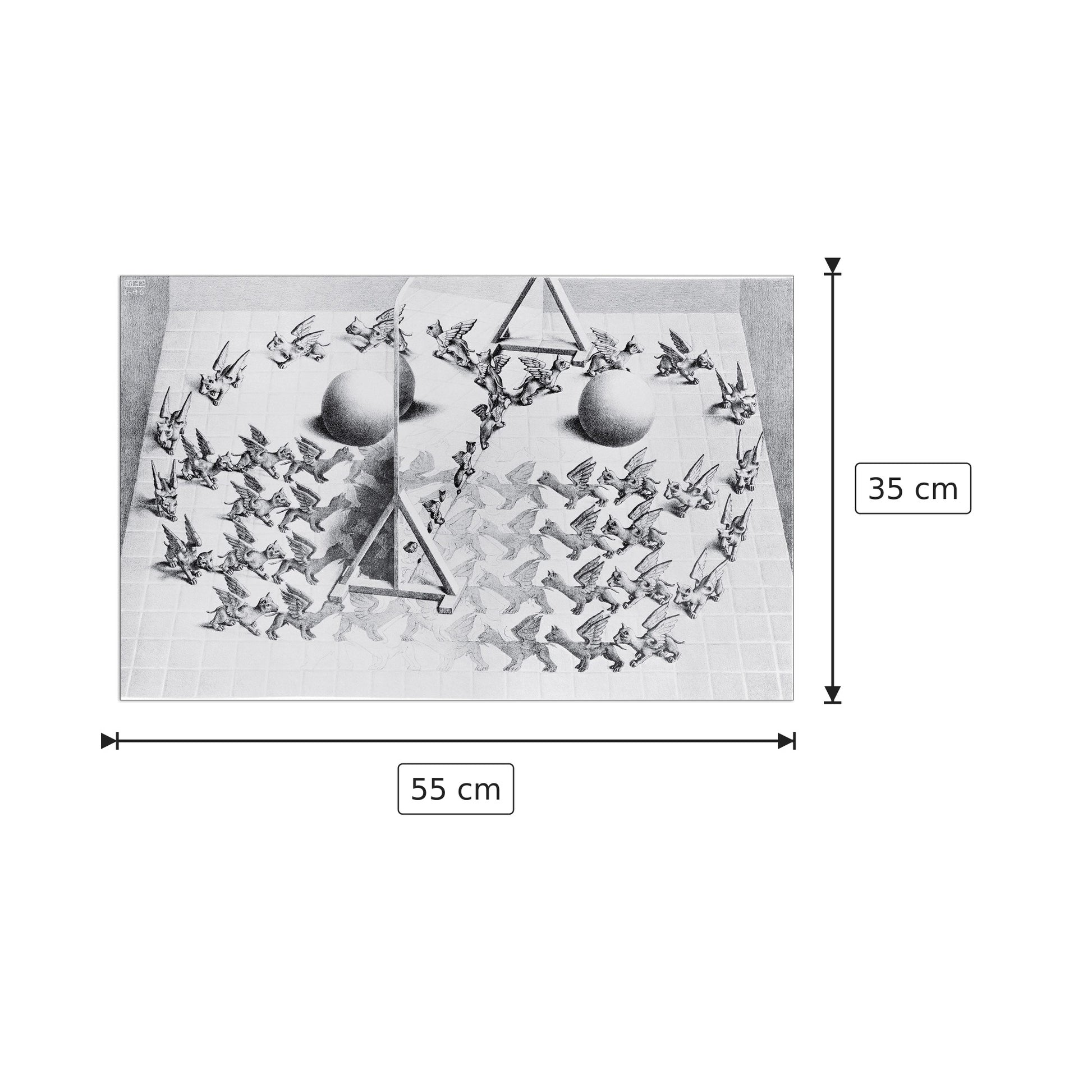 Magic Mirrow - ESCHER - cm 55x35 - Pannello in MDF