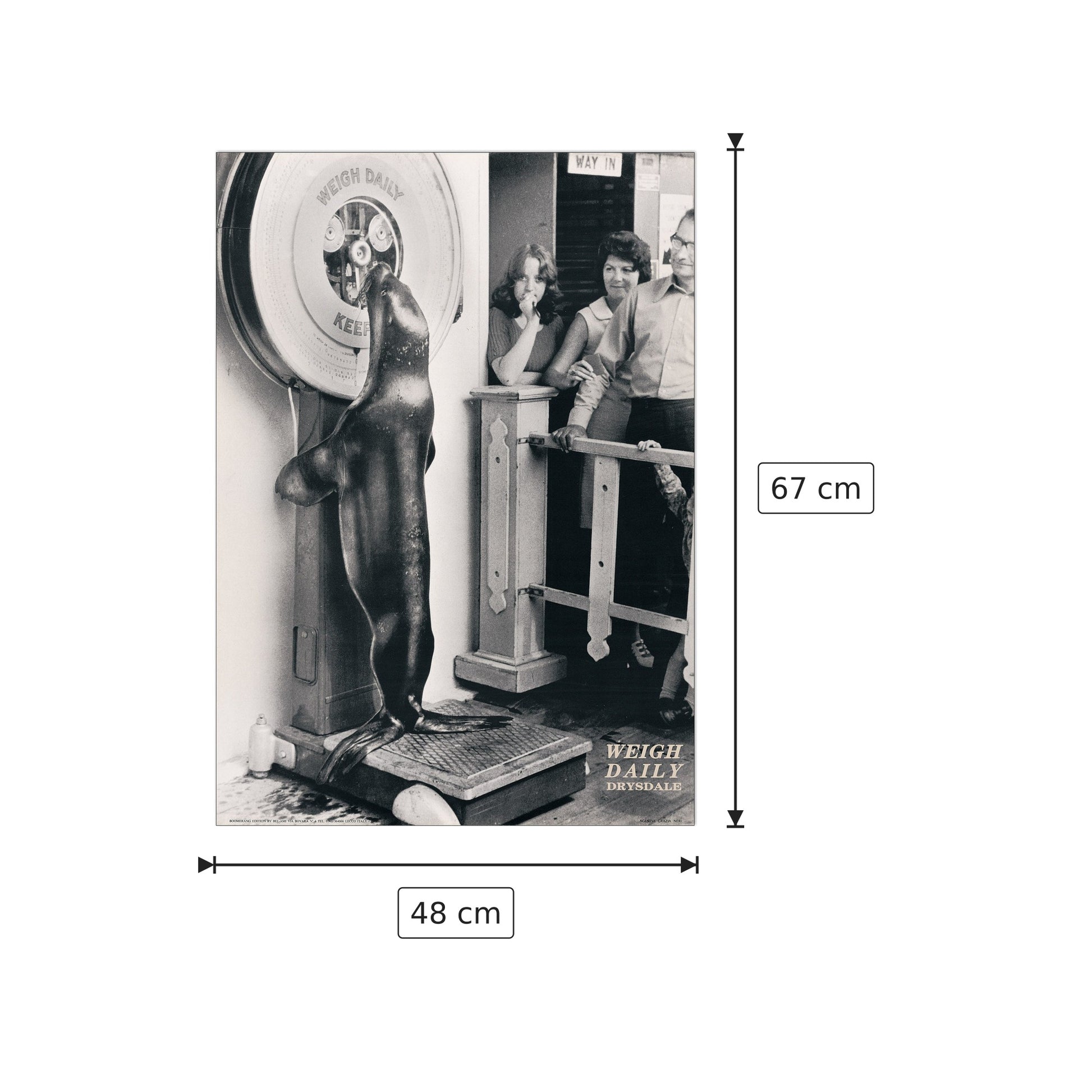Weight Daily Drysdale - NERI - cm 48x67 - Pannello in MDF
