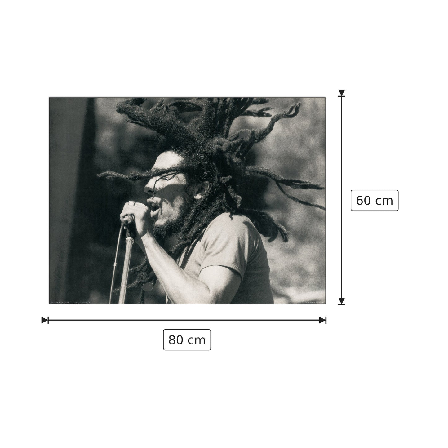 Bob Marley - ANONYMOUS - cm 80x60 - Pannello in MDF