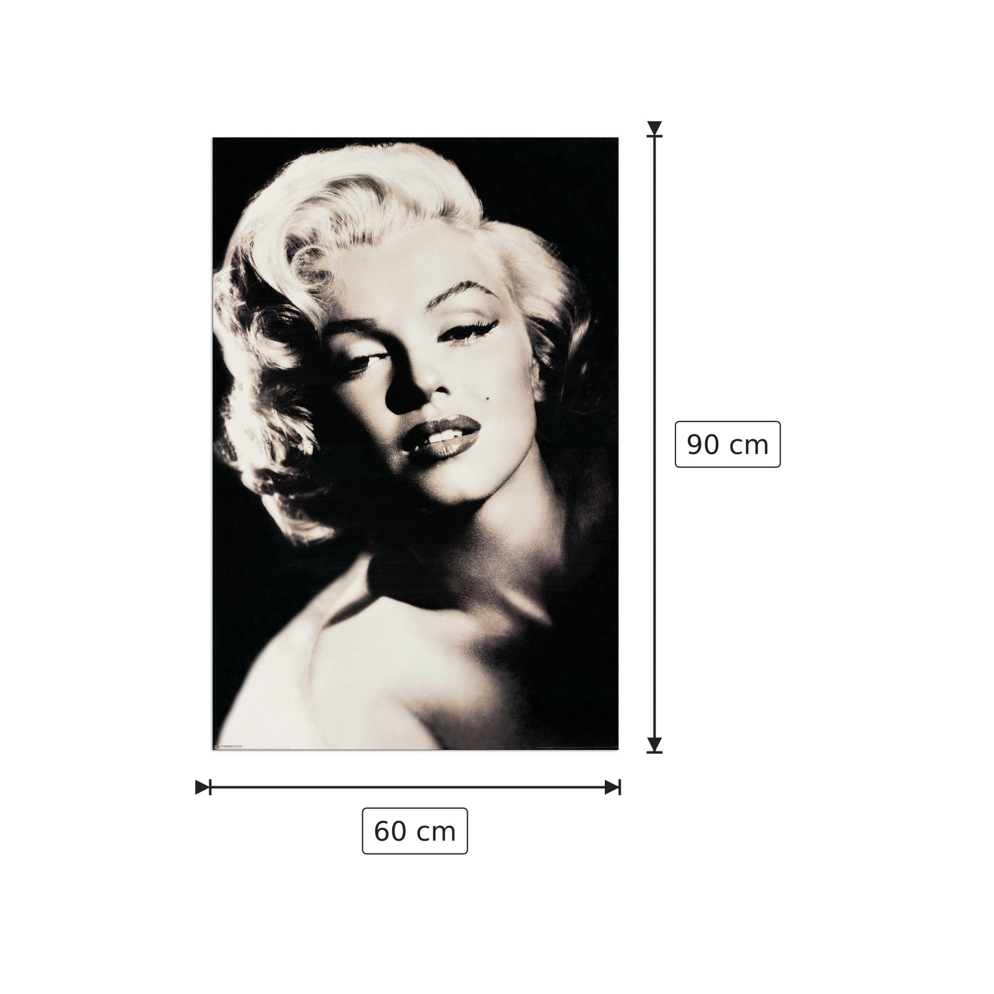 Marilyn Monroe - NULL - cm 60x90 - Pannello in MDF