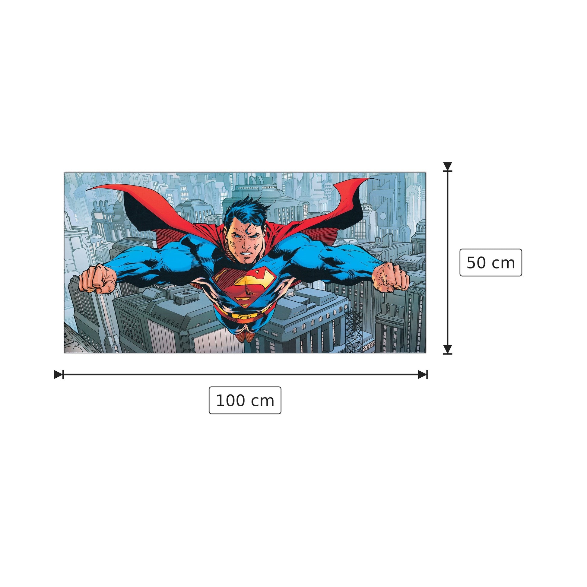 Flying Over Metropolis - DC COMICS - cm 100x50 - Pannello in MDF