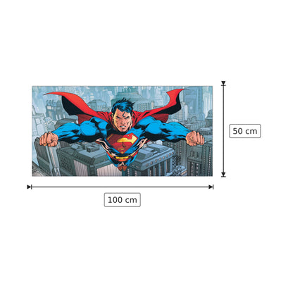 Flying Over Metropolis - DC COMICS - cm 100x50 - Pannello in MDF