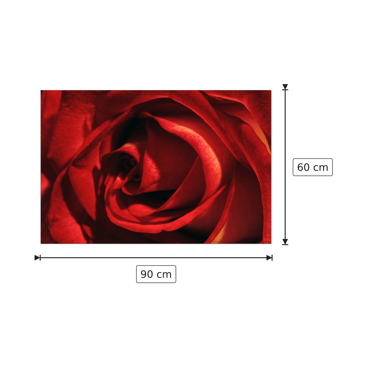 Rosa Rossa - STUDIO - cm 90x60 - Pannello in MDF