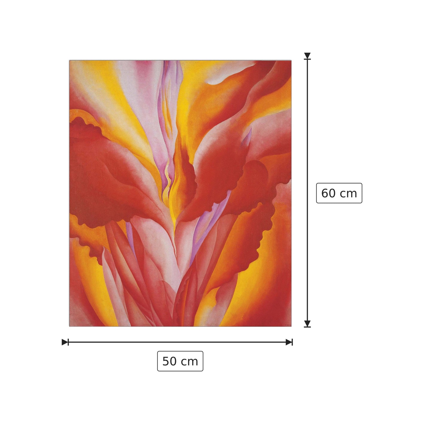 Red Canna - O KEEFFE - cm 50x60 - Pannello in MDF