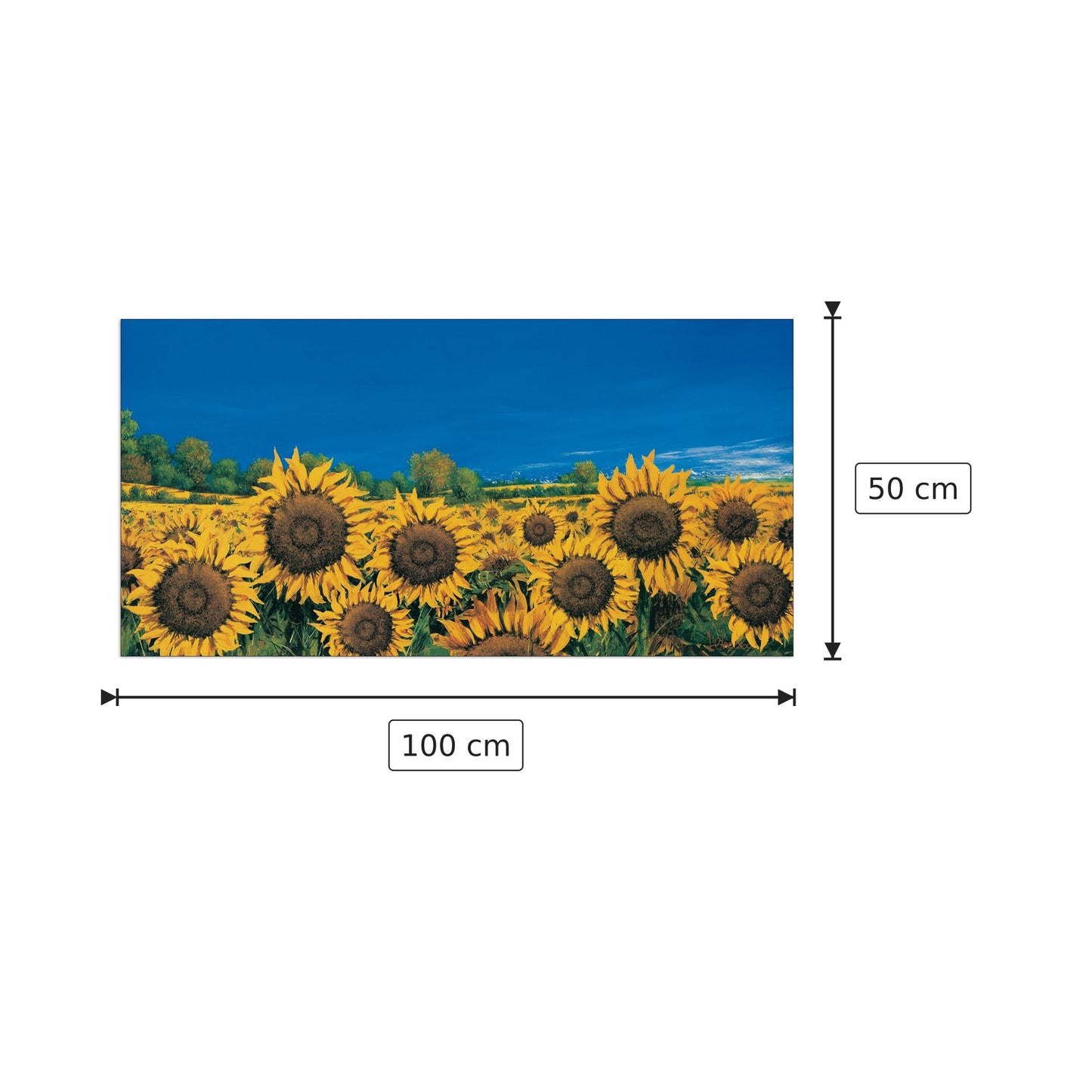 Campo Di Girasoli - MARZARI - cm 100x50 - Pannello in MDF
