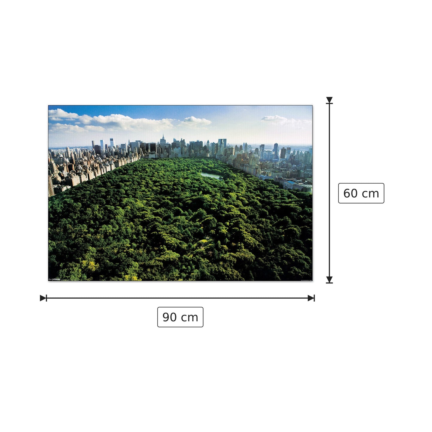 New York, Central Park - NULL - cm 90x60 - Pannello in MDF