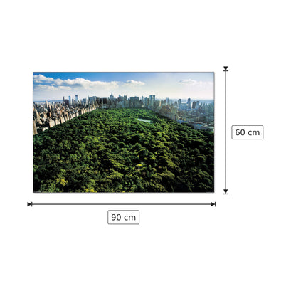 New York, Central Park - NULL - cm 90x60 - Pannello in MDF