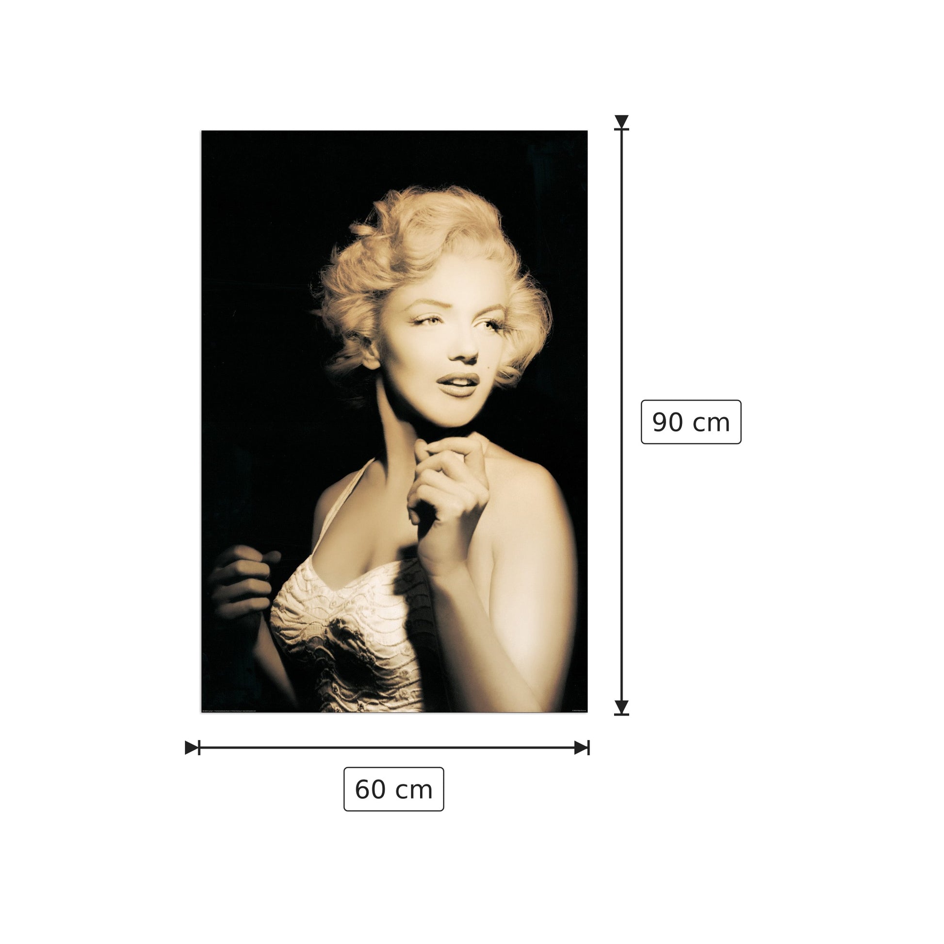 In the spotlight Marilyn Monroe - cm 60x90 - Pannello in MDF