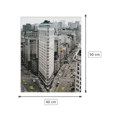 Flat iron building - cm 40x50 - Pannello in MDF