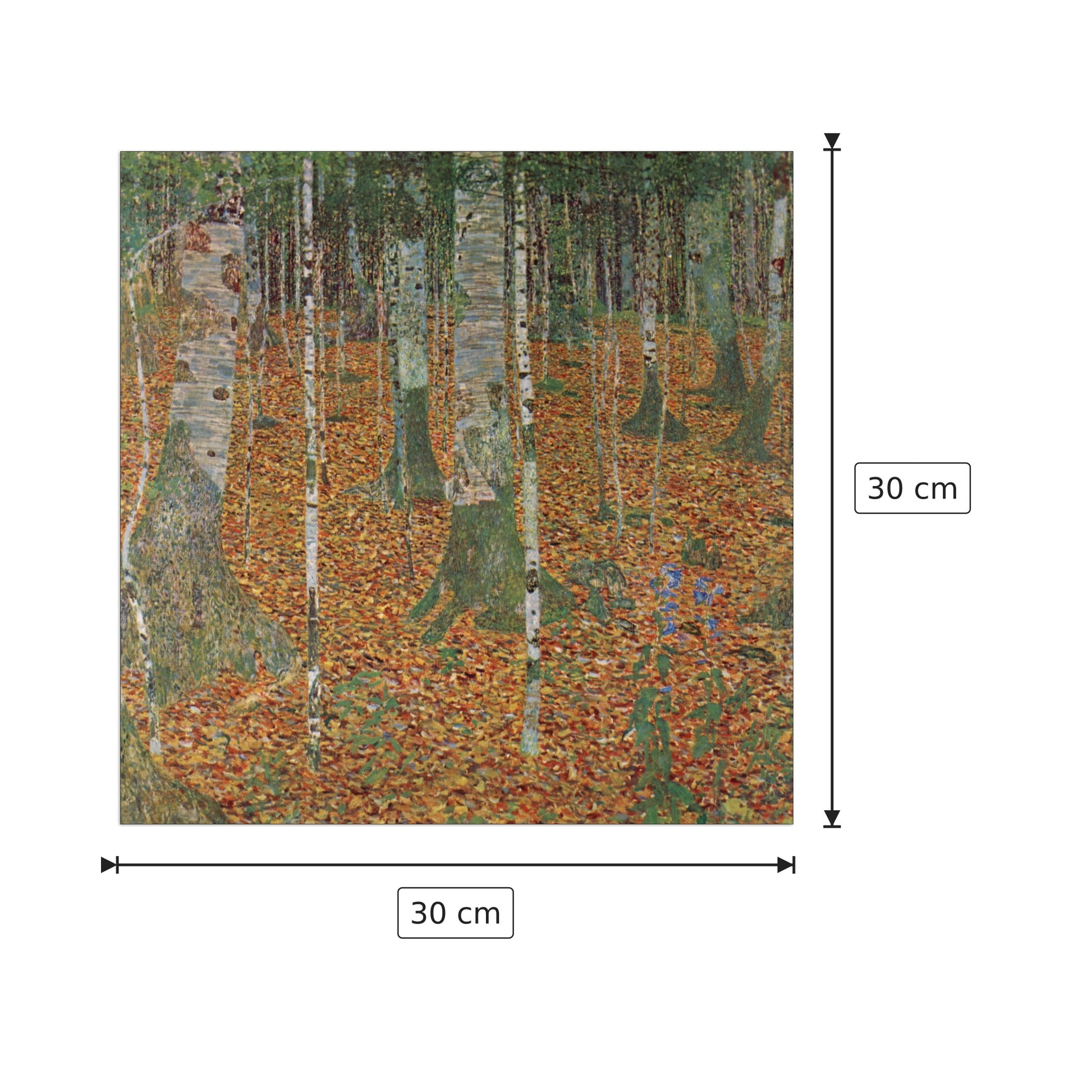 Birch Forest - Klimt Gustav - cm 30x30 - Pannello in MDF