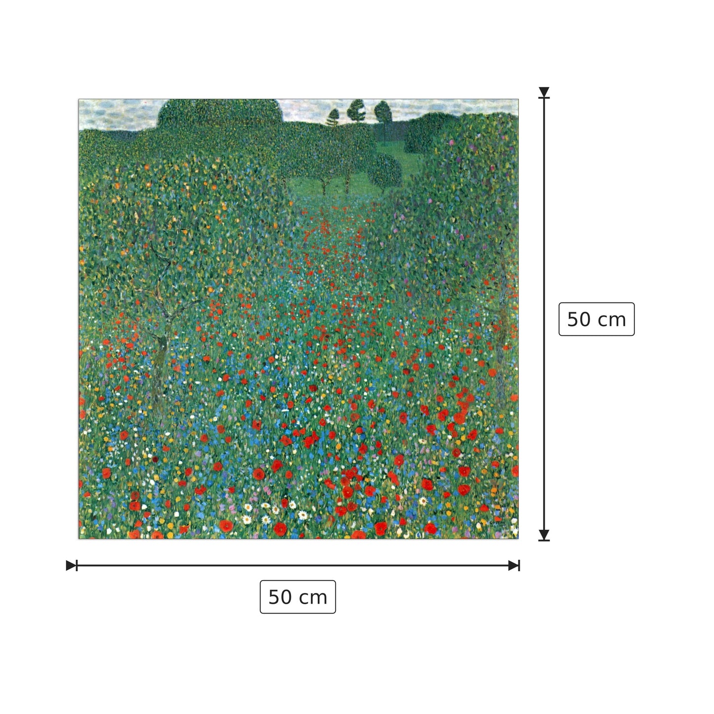 Poppy Field - Klimt Gustav - cm 50x50 - Pannello in MDF