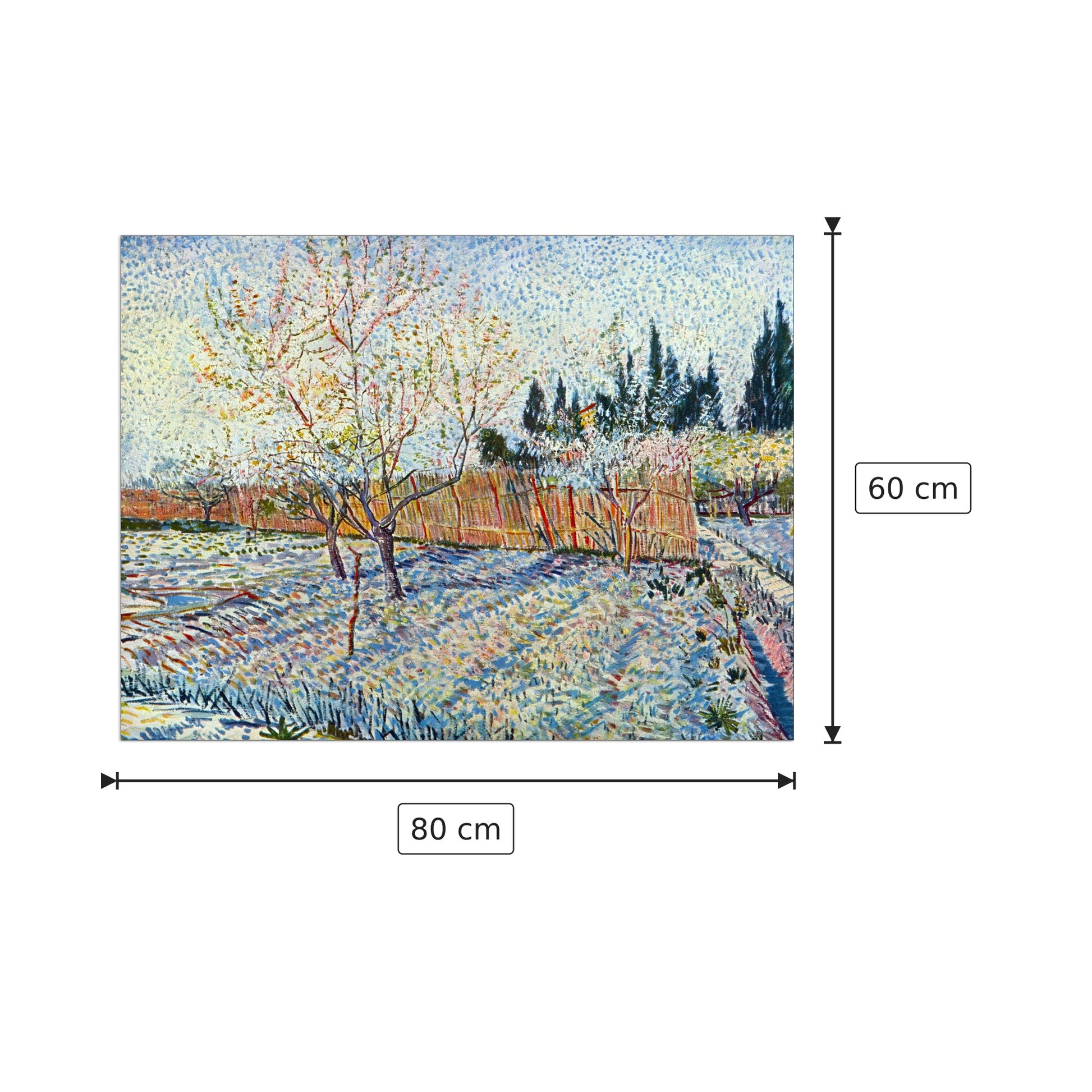 Orchard with cypress - Van Gogh Vincent - cm 80x60 - Pannello in MDF