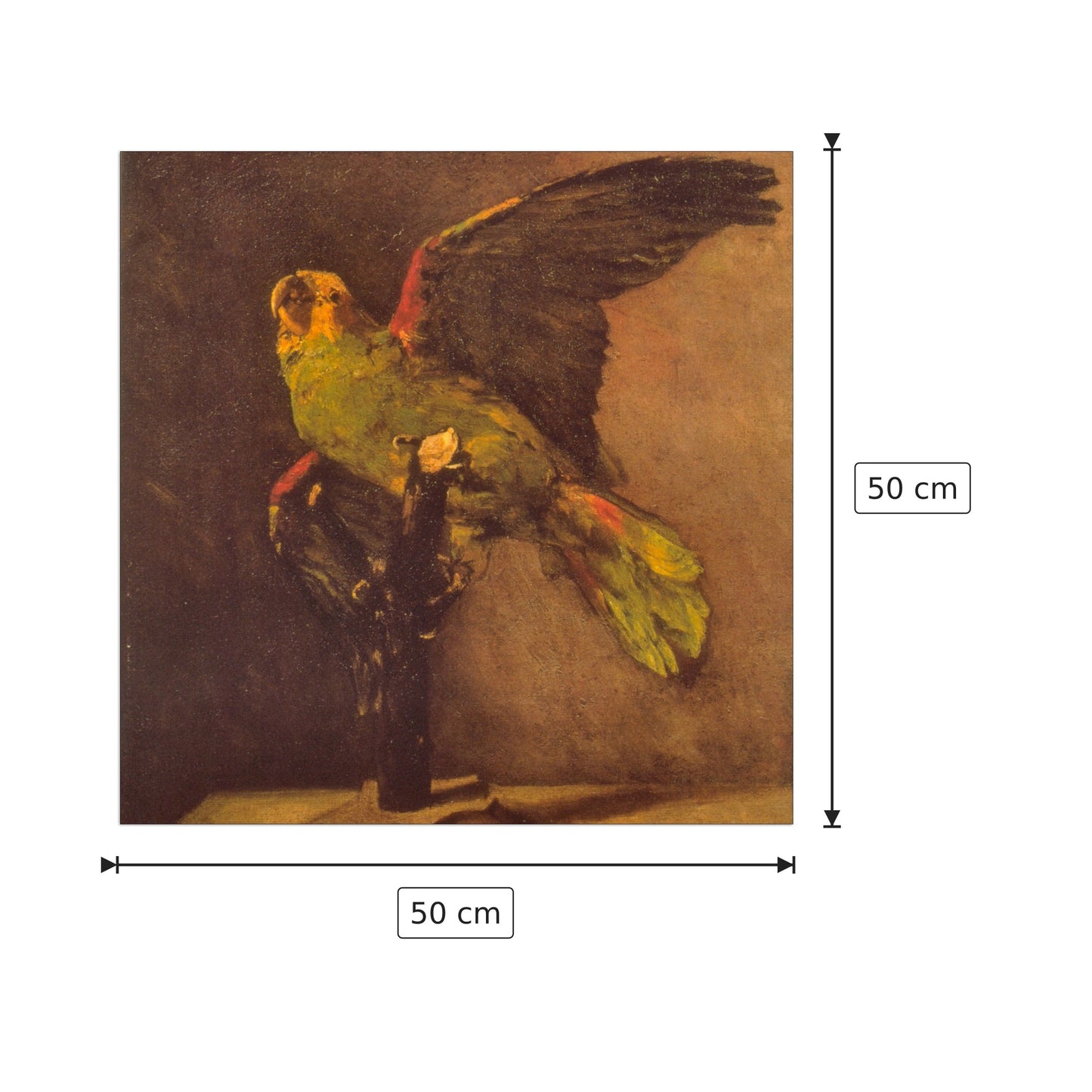 Parrot - Van Gogh Vincent - cm 50x50 - Pannello in MDF