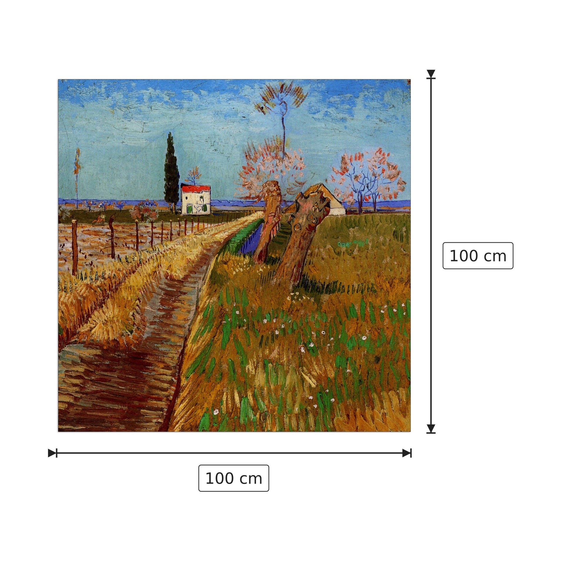 Path Through a Field with Willows - Van Gogh Vincent - cm 100x100 - Pannello in MDF