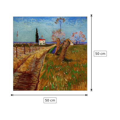 Path Through a Field with Willows - Van Gogh Vincent - cm 50x50 - Pannello in MDF