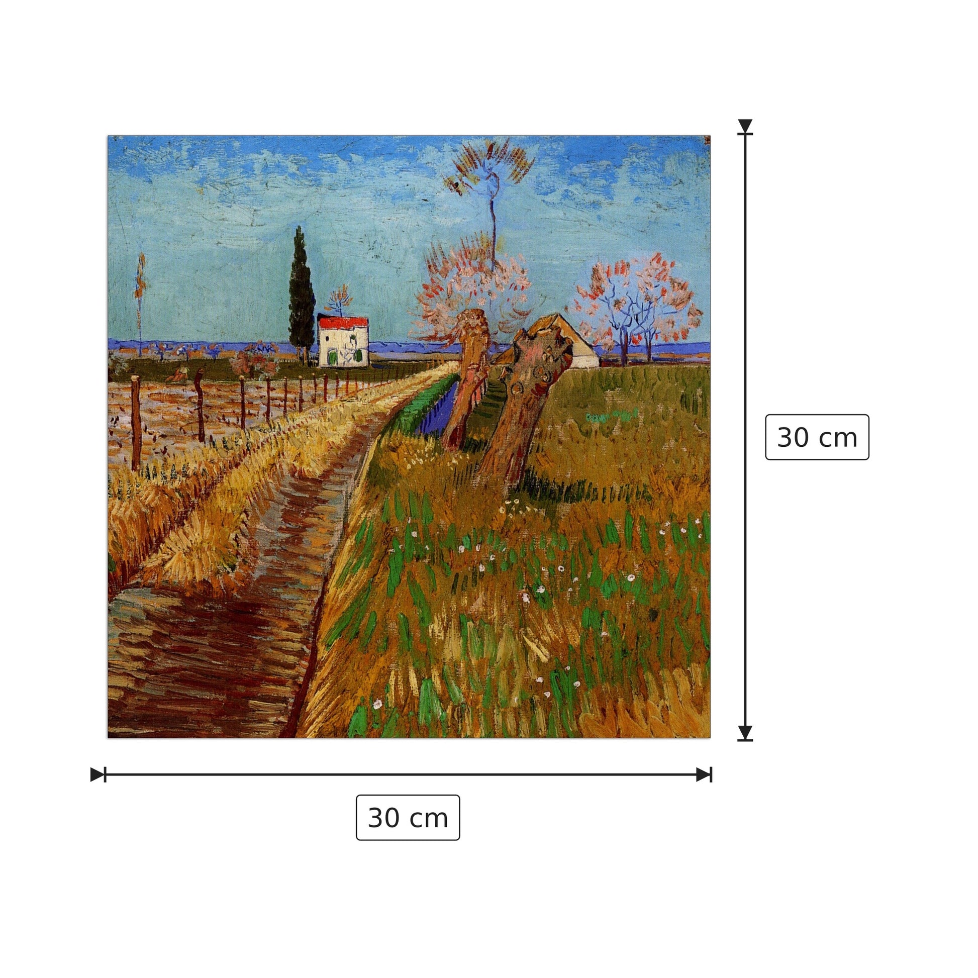 Path Through a Field with Willows - Van Gogh Vincent - cm 30x30 - Pannello in MDF