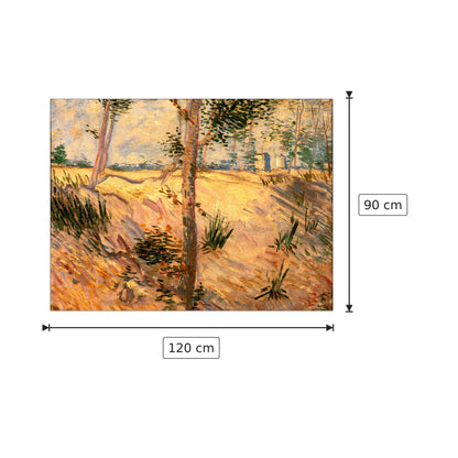 Trees in a Field on a Sunny Day - Van Gogh Vincent - cm 120x90 - Pannello in MDF