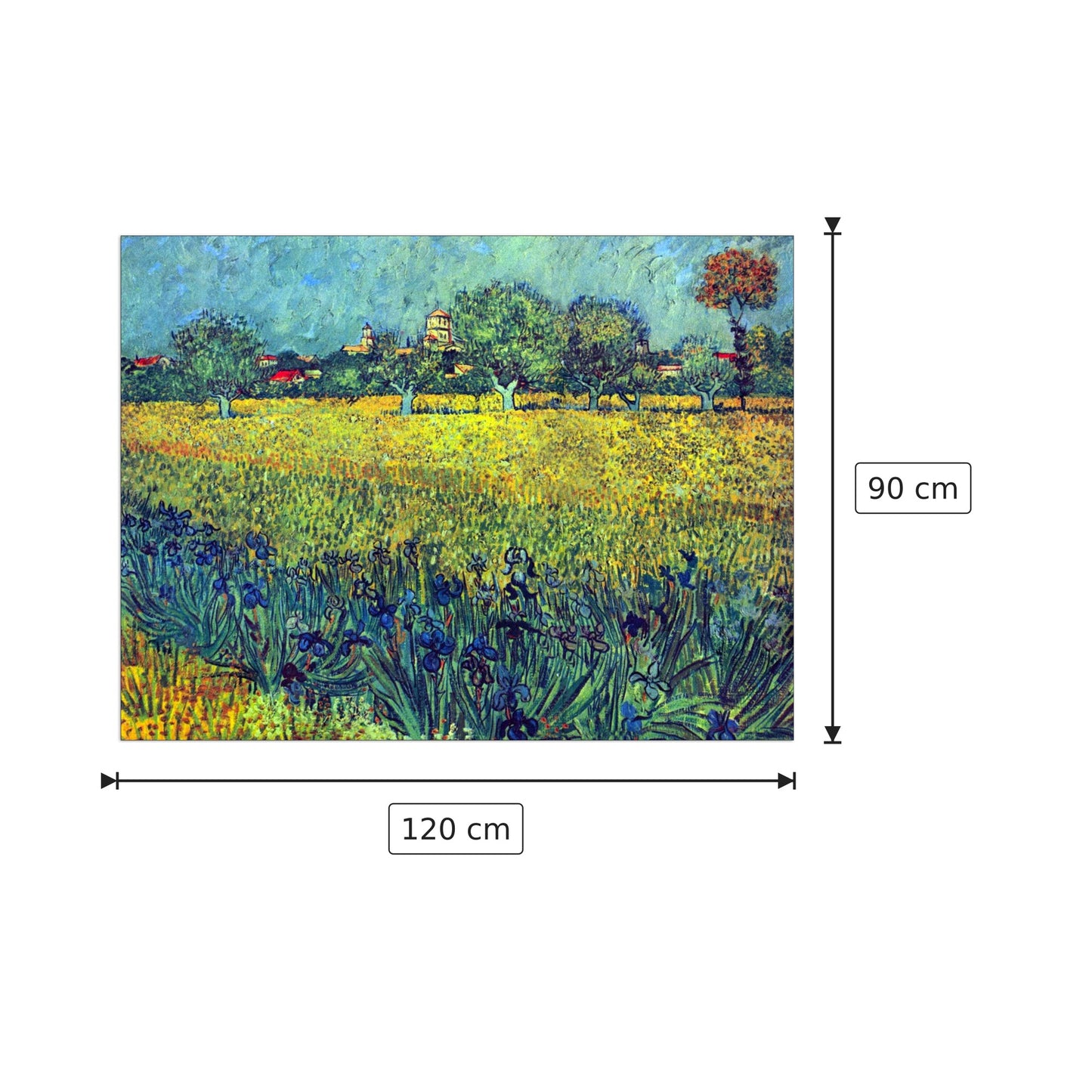 View of Arles with irises - Van Gogh Vincent - cm 120x90 - Pannello in MDF