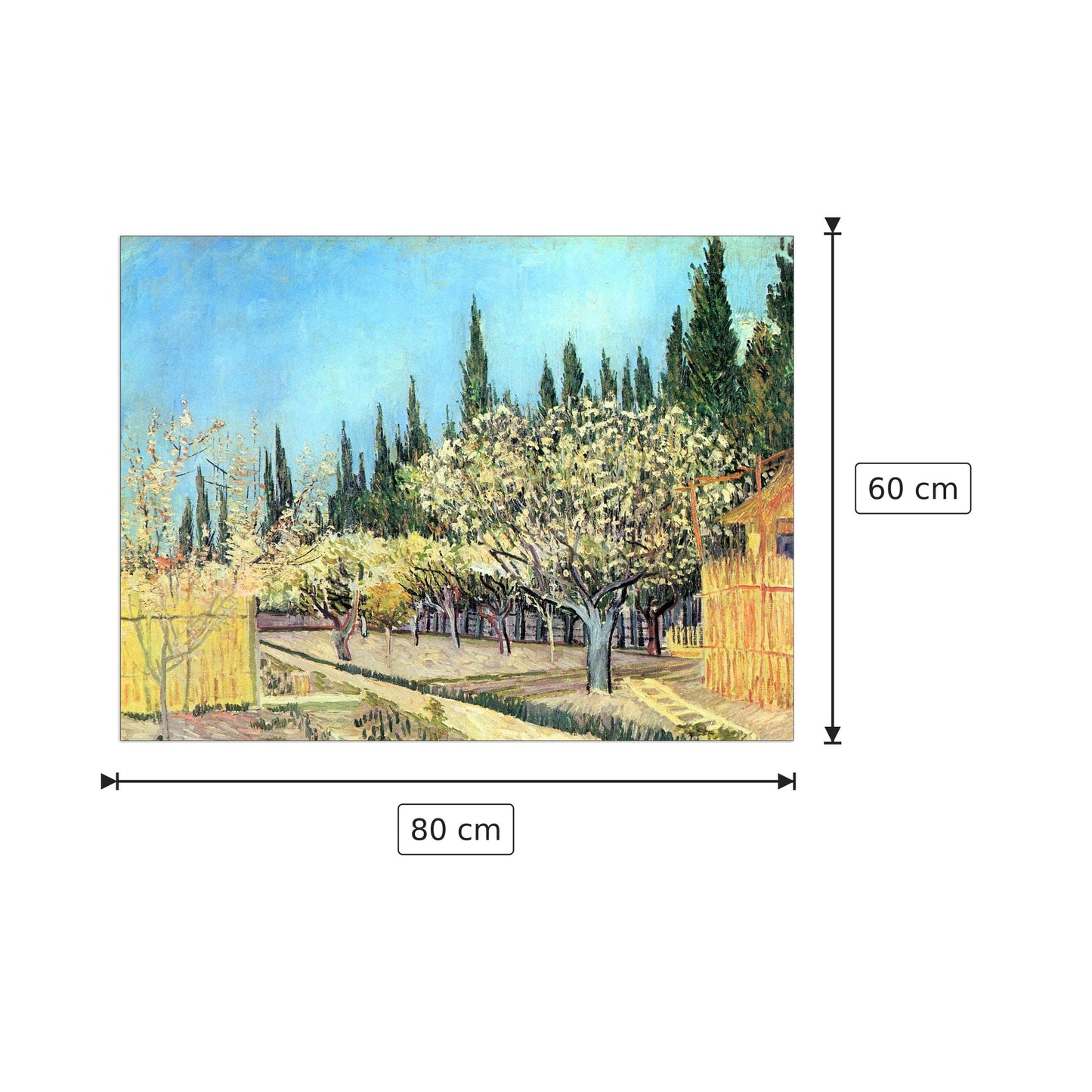 Flowering fruit garden, surrounded by cypress - Van Gogh Vincent - cm 80x60 - Pannello in MDF