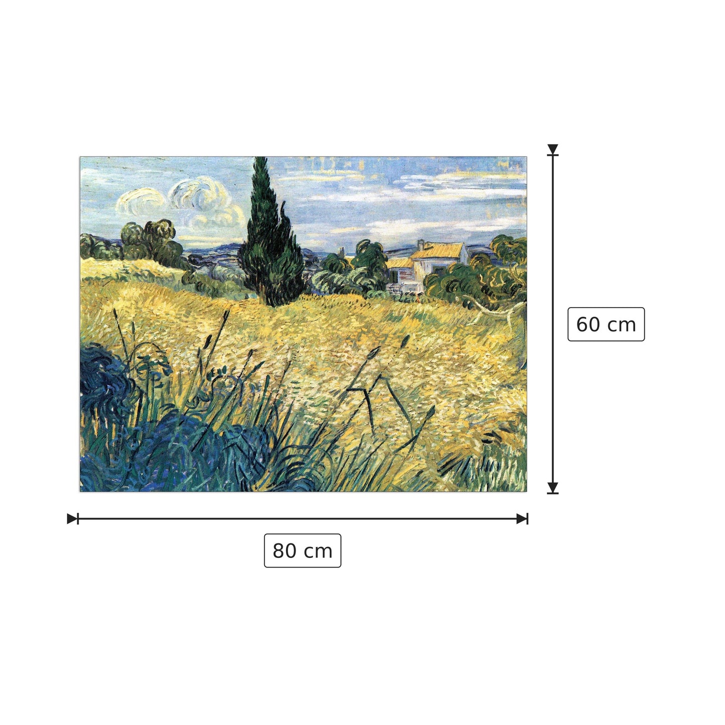 Green wheat field with cypress - Van Gogh Vincent - cm 80x60 - Pannello in MDF