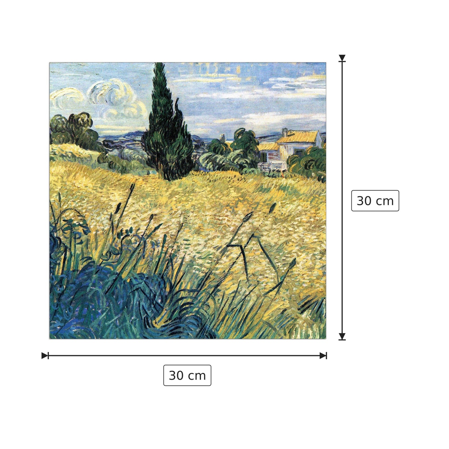 Green wheat field with cypress - Van Gogh Vincent - cm 30x30 - Pannello in MDF