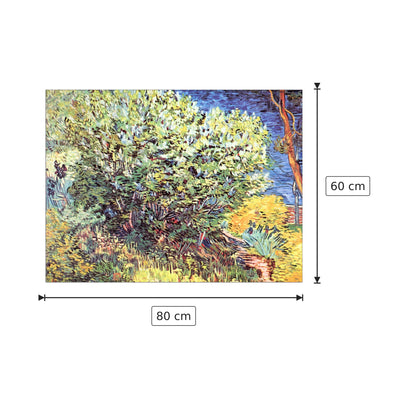 The bush - Van Gogh Vincent - cm 80x60 - Pannello in MDF
