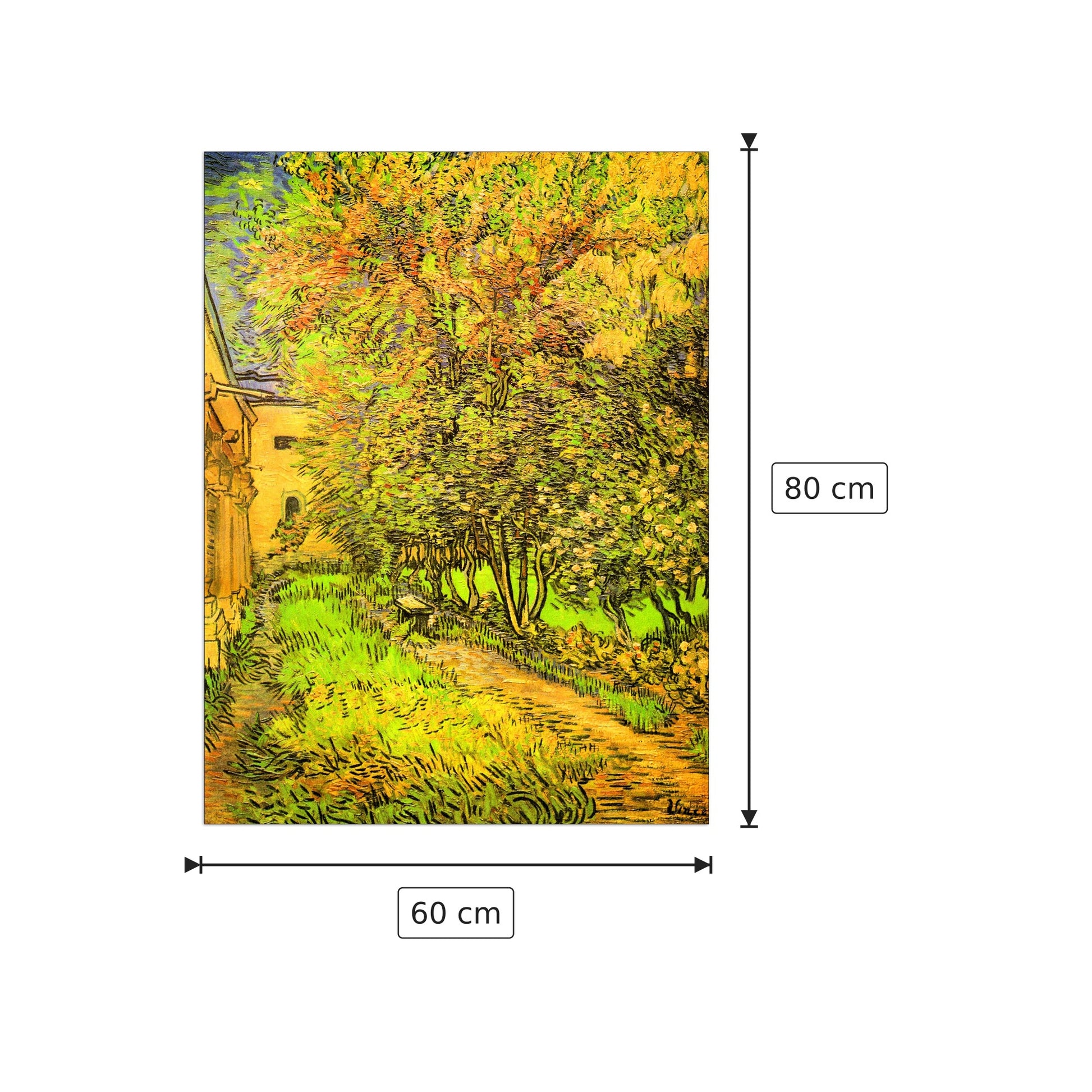 The Garden of the Clinic of Saint-ReÌmy - Van Gogh Vincent - cm 60x80 - Pannello in MDF