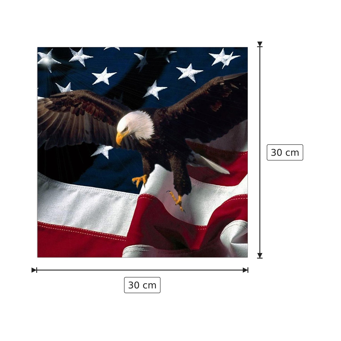 Aquila americana - Art Studio - cm 30x30 - Pannello in MDF