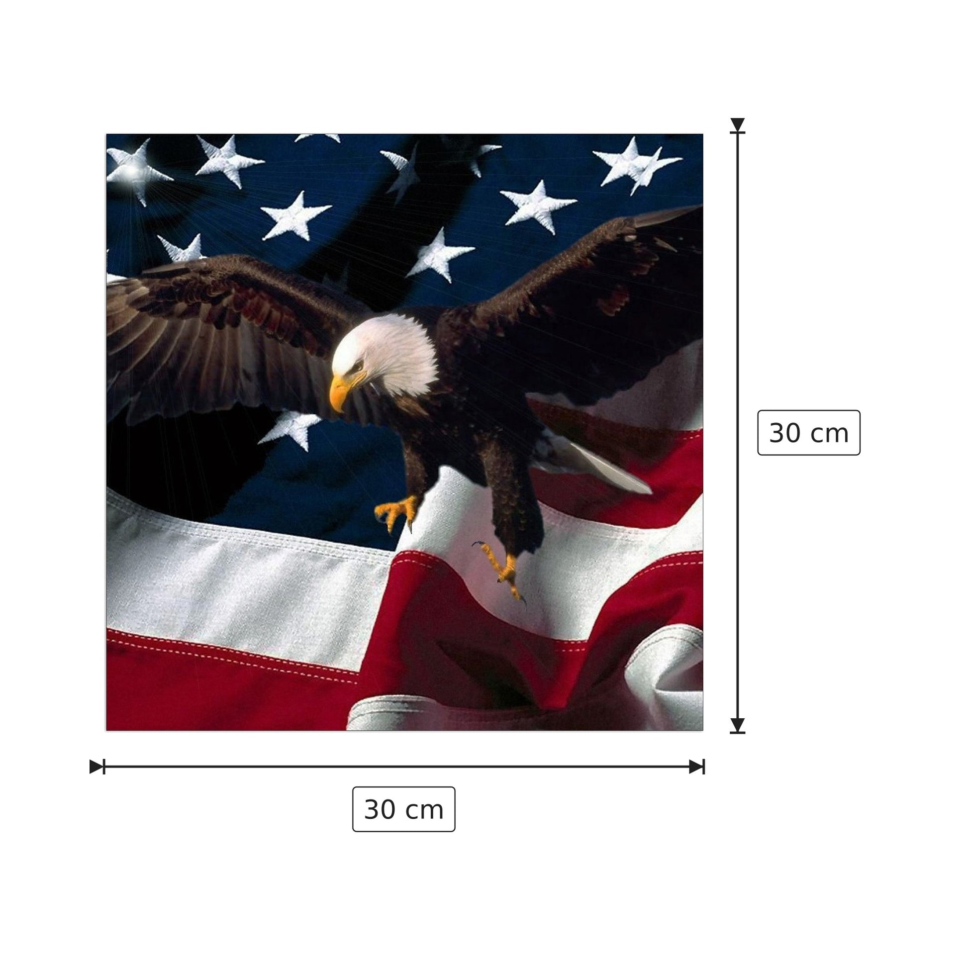 Aquila americana - Art Studio - cm 30x30 - Pannello in MDF