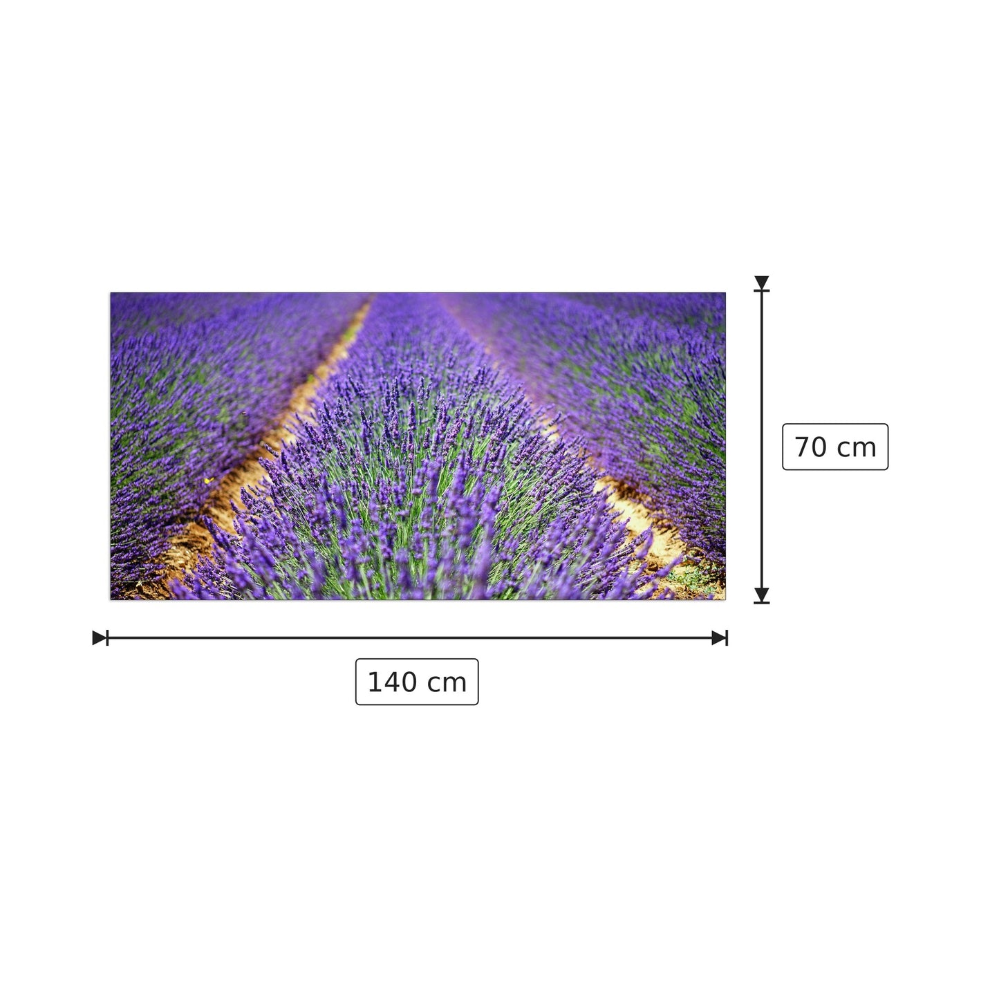 Lavanda - Art Studio - cm 140x70 - Pannello in MDF
