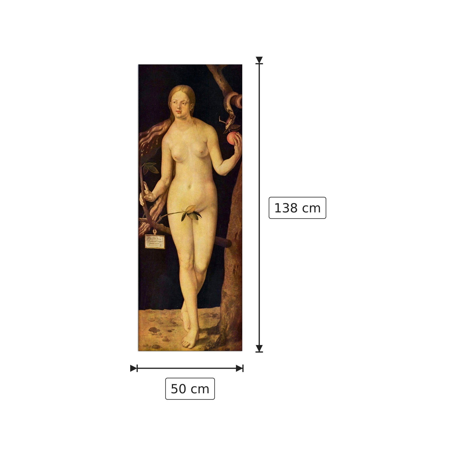 Eva - Albrecht Dürer - cm 50x138 - Pannello in MDF