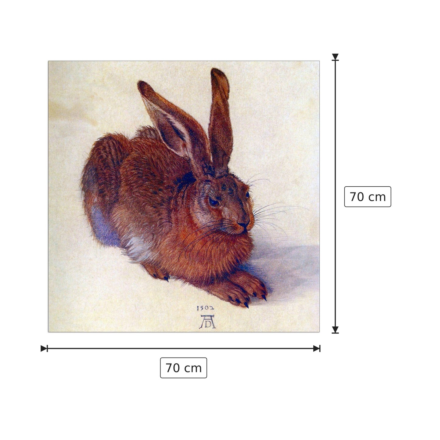 Lepre di campo - Albrecht Dürer - cm 70x70 - Pannello in MDF