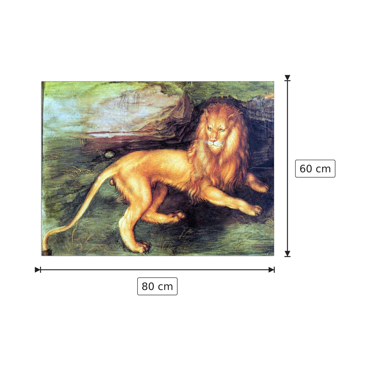 Leone - Albrecht Dürer - cm 80x60 - Pannello in MDF